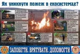 done-img-b-1824.jpg