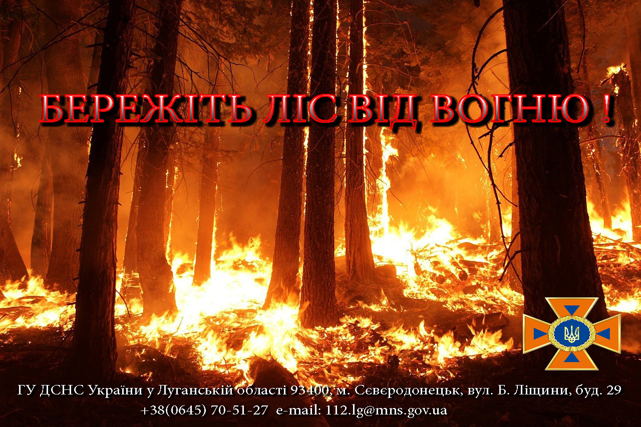 ліс вогонь-3psd.jpg