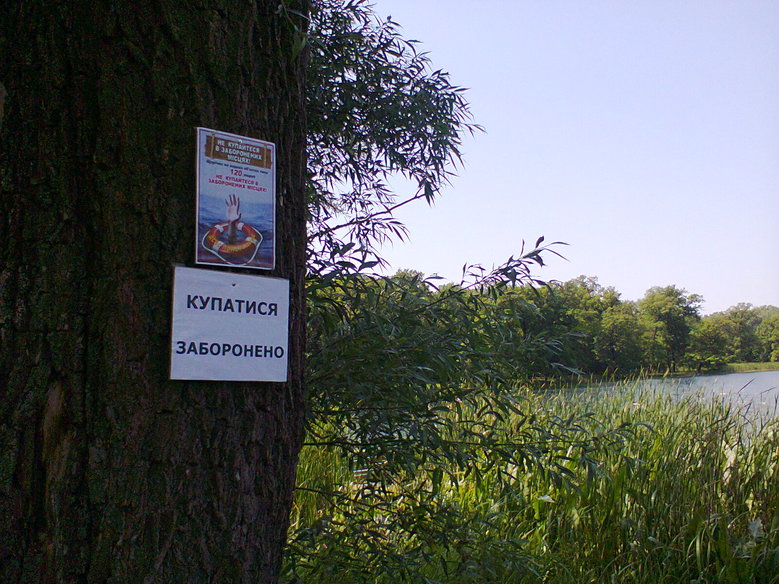 ”Ћ’Ћ0192.jpg