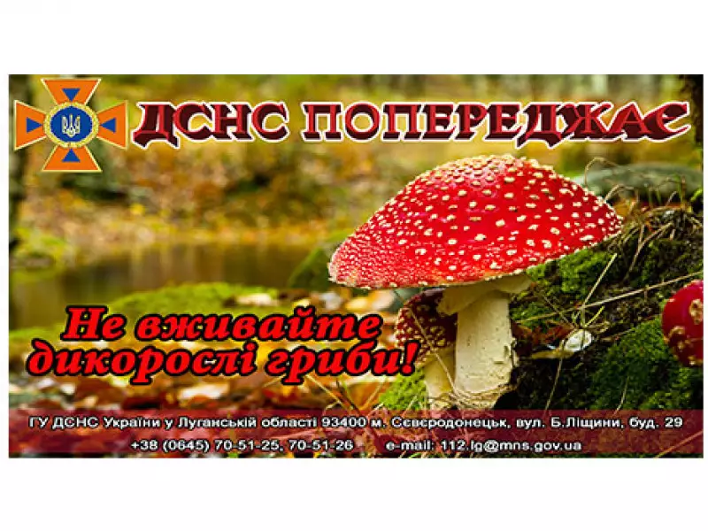 line-images-9242.jpg