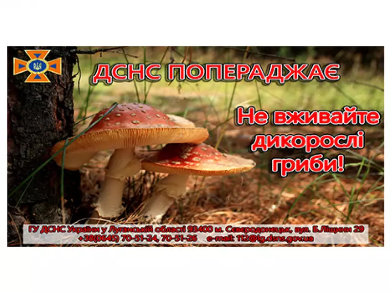 line-images-9306.jpg