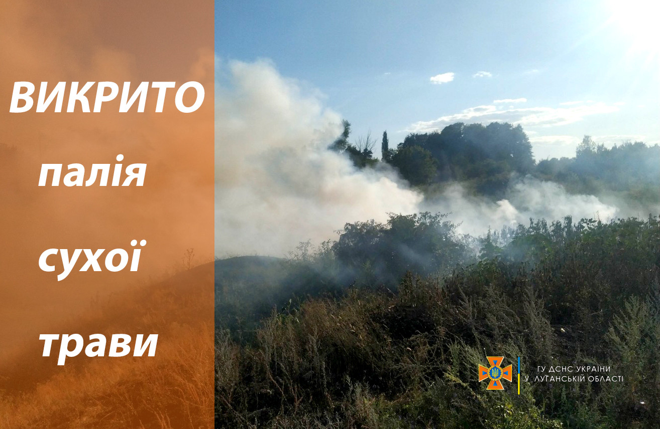 Палі.jpg