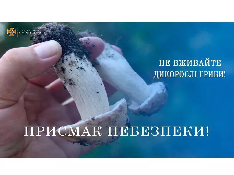 line-images-11466.jpg