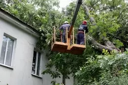 done-img-b-490.jpg