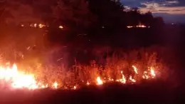 done-img-b-1902.jpg