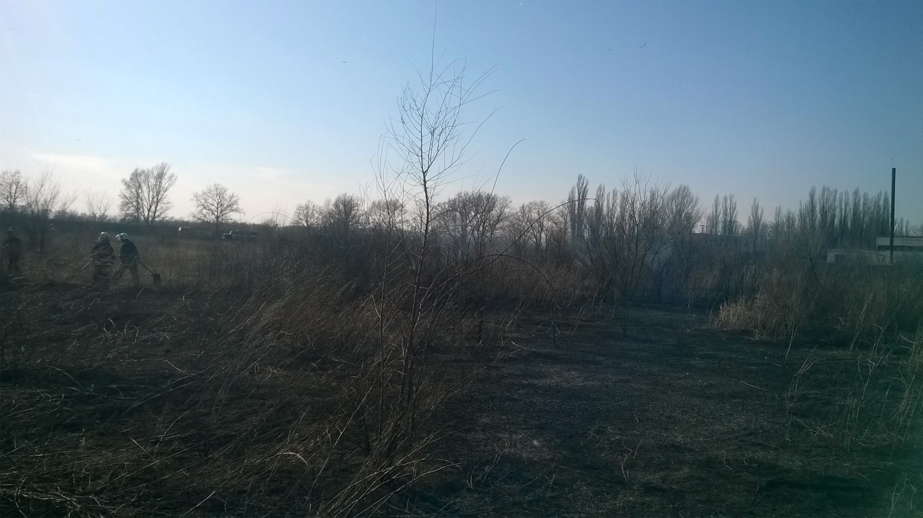 WP_20170310_14_12_28_Pro.jpg
