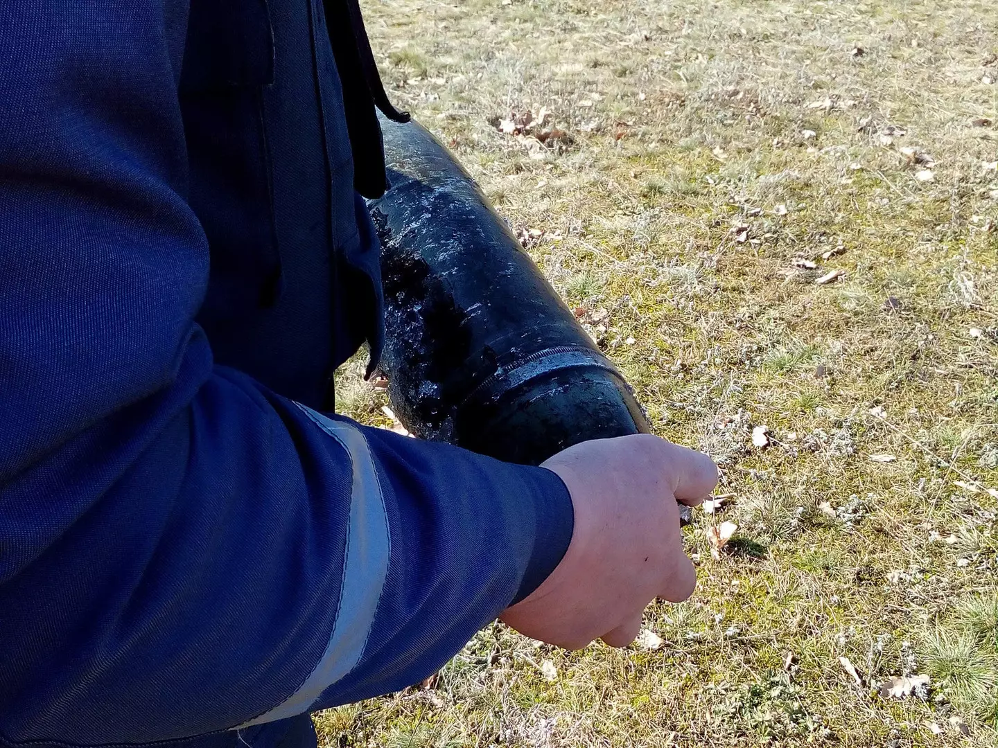 2017-3-19-p1.jpg