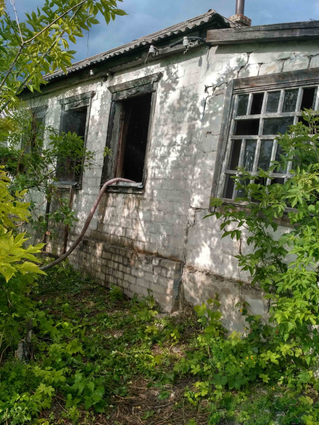01.jpg