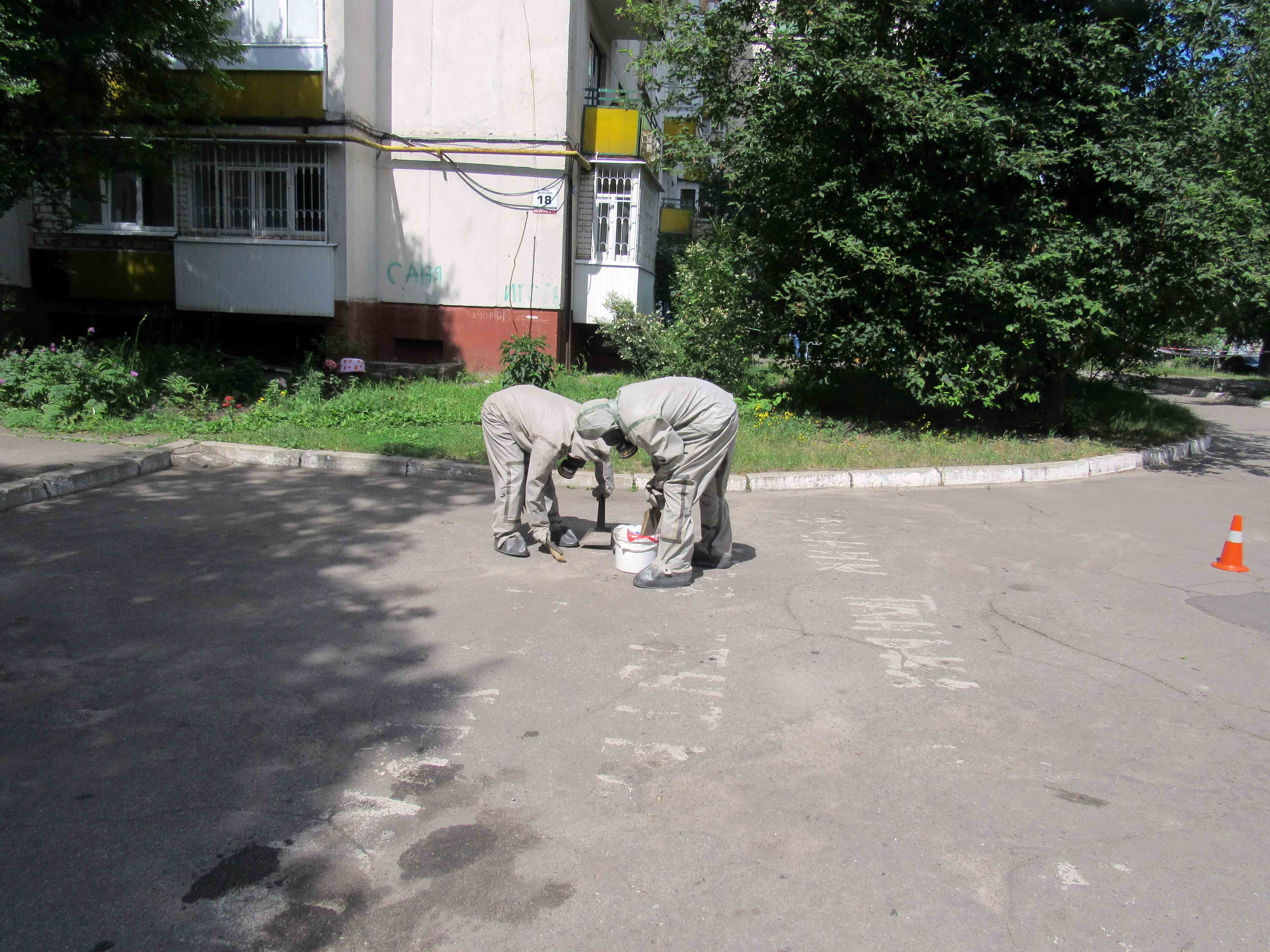 24.jpg