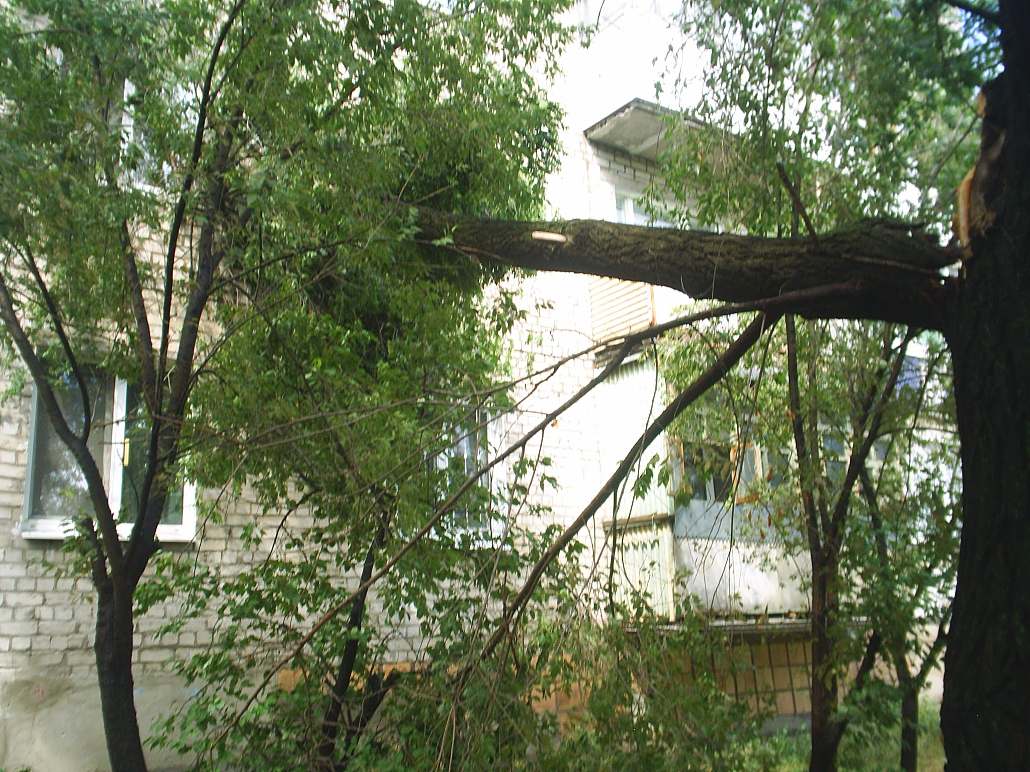 S3013293.JPG