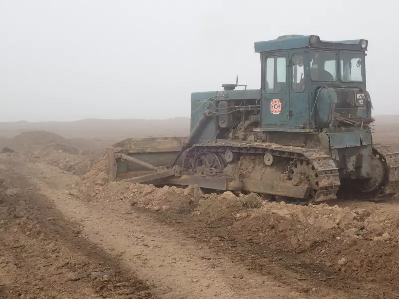 line-images-4837.jpg