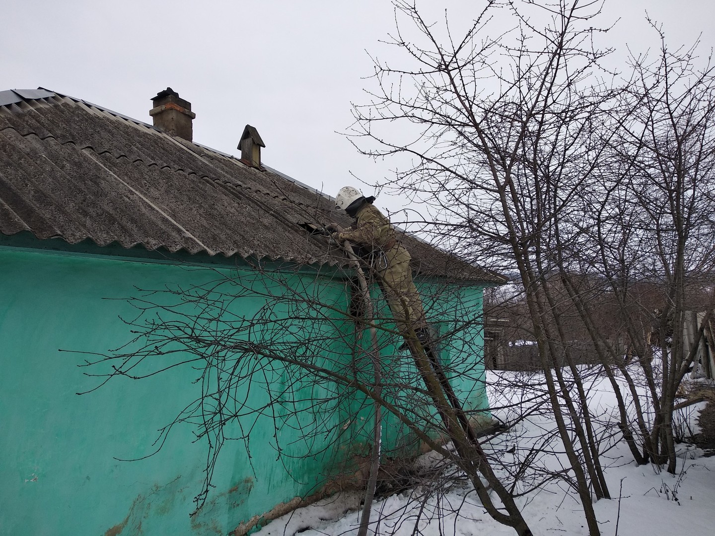 IMG_20180327_071842.jpg