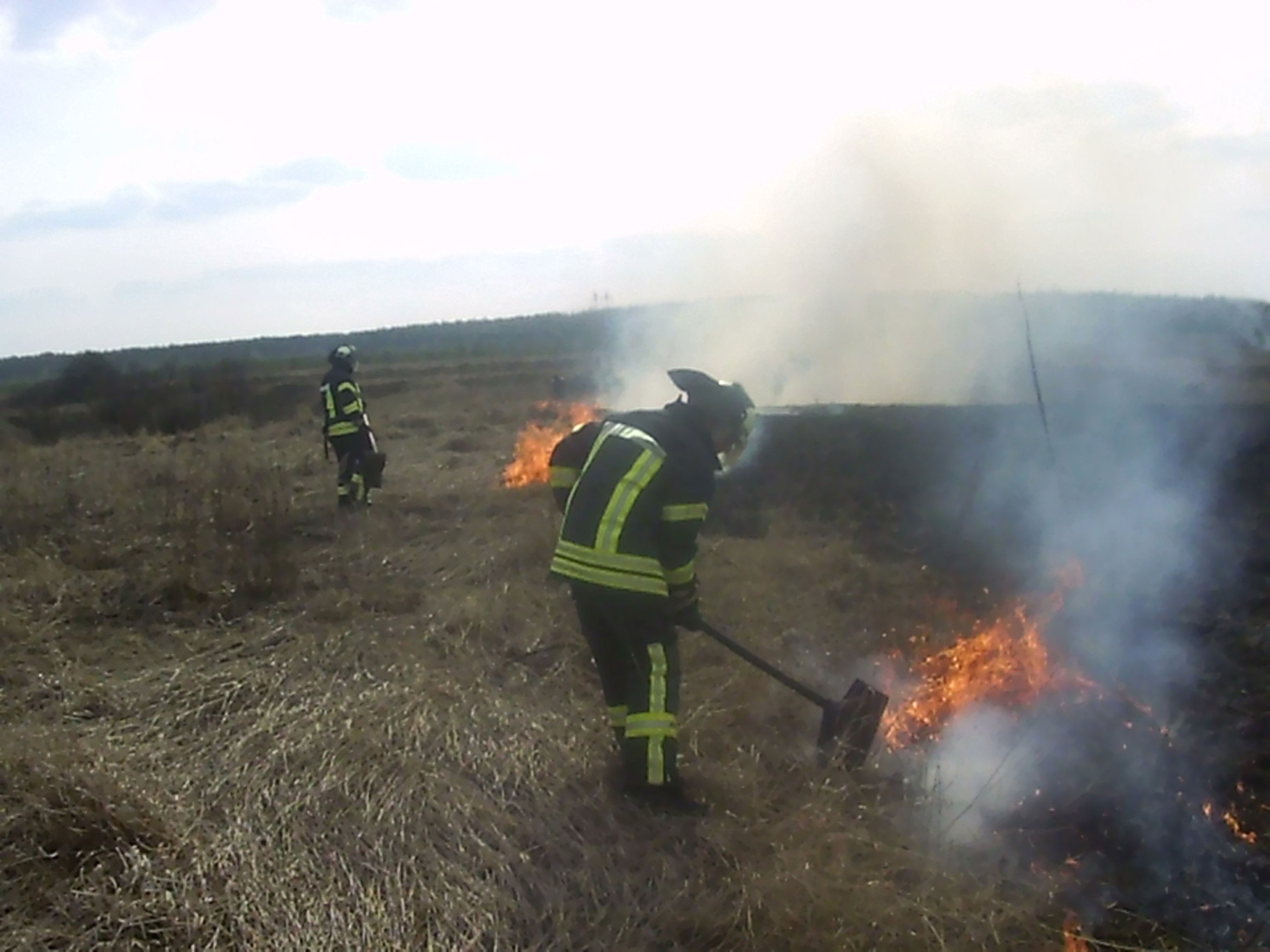 25.jpg