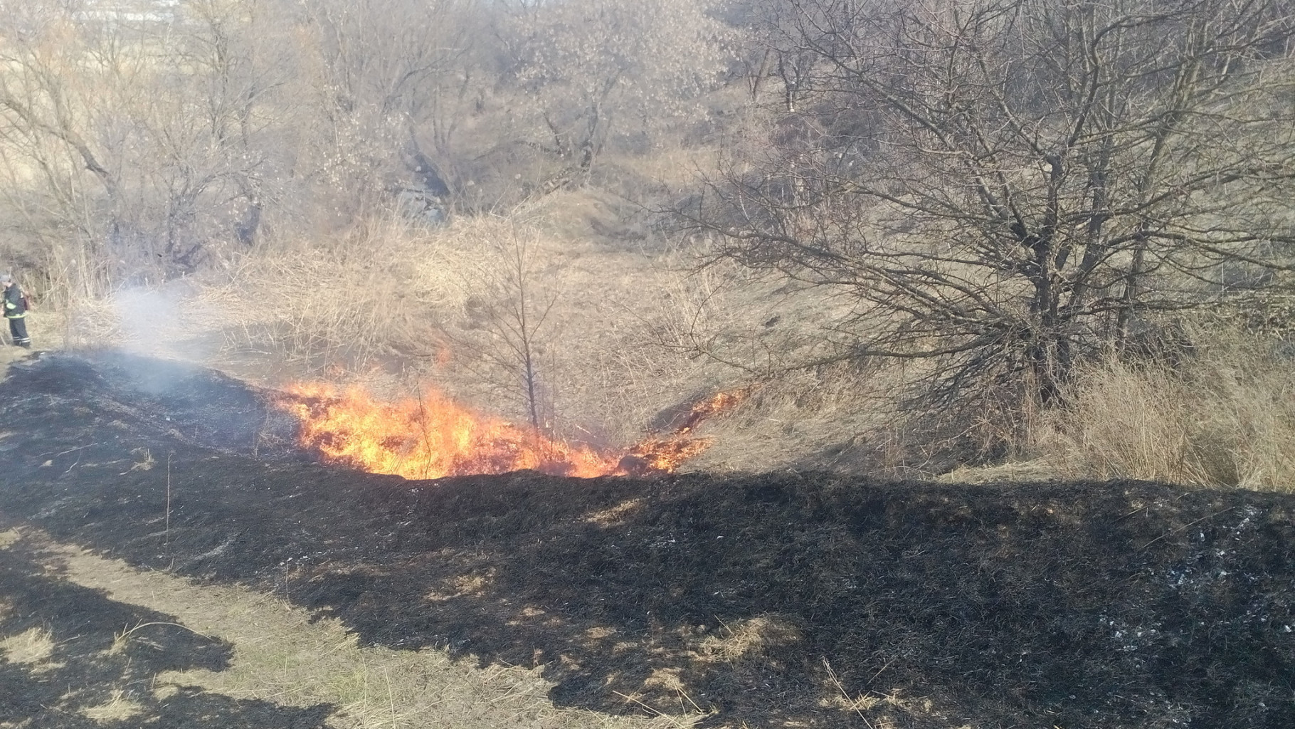 ДПРЧ-33  пож.18_12.04.186.jpg