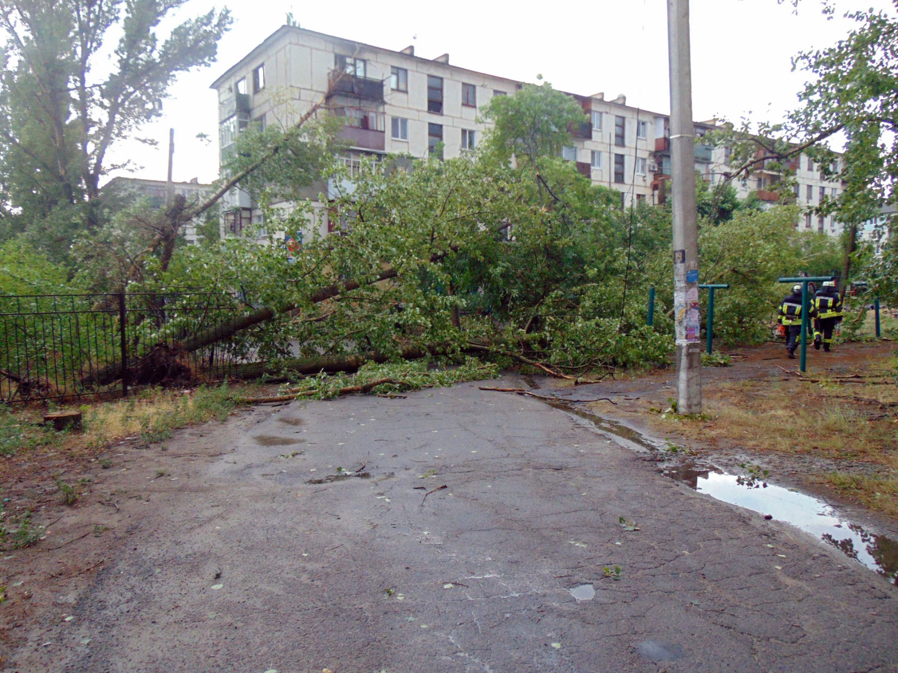 site3.jpg