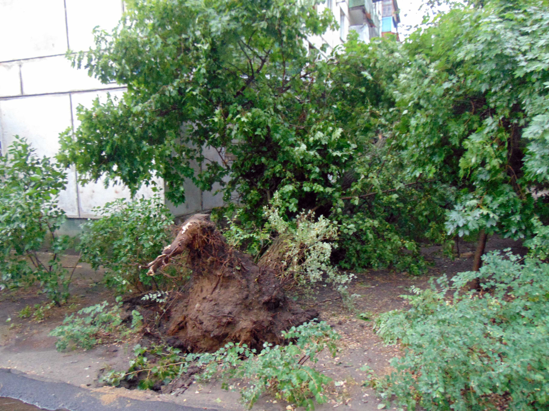 site4.jpg