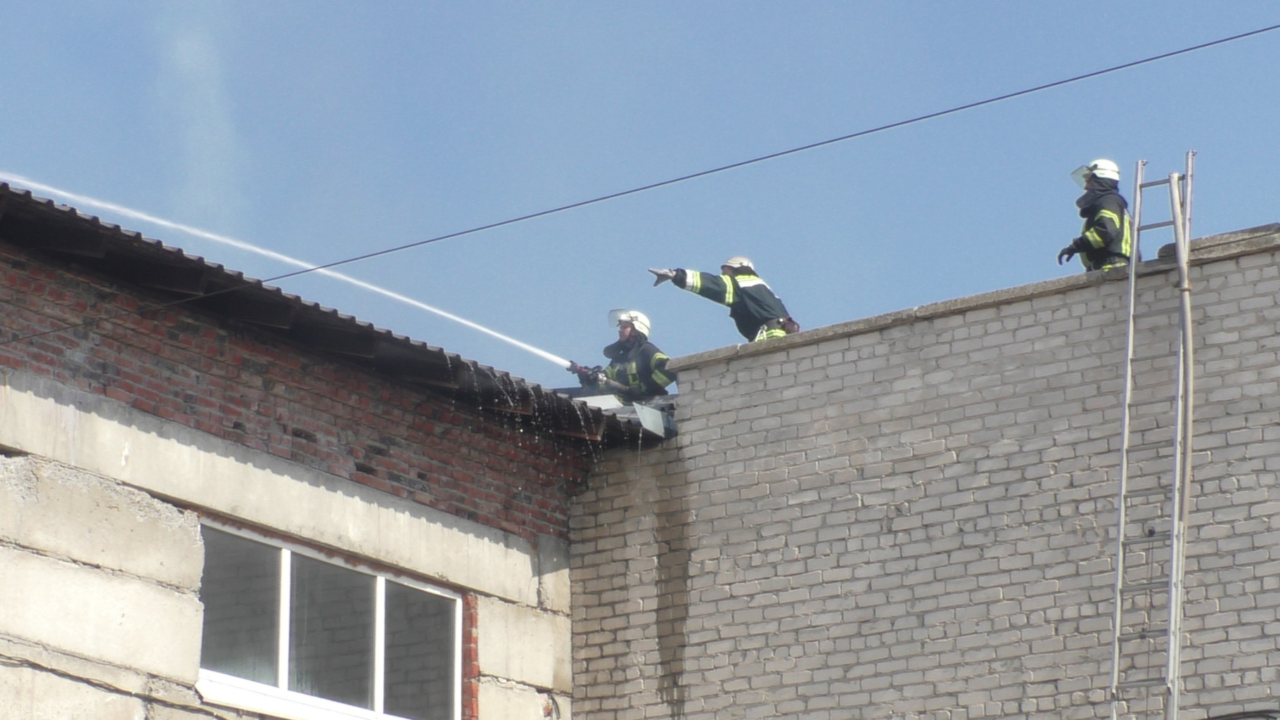 S1010007.JPG