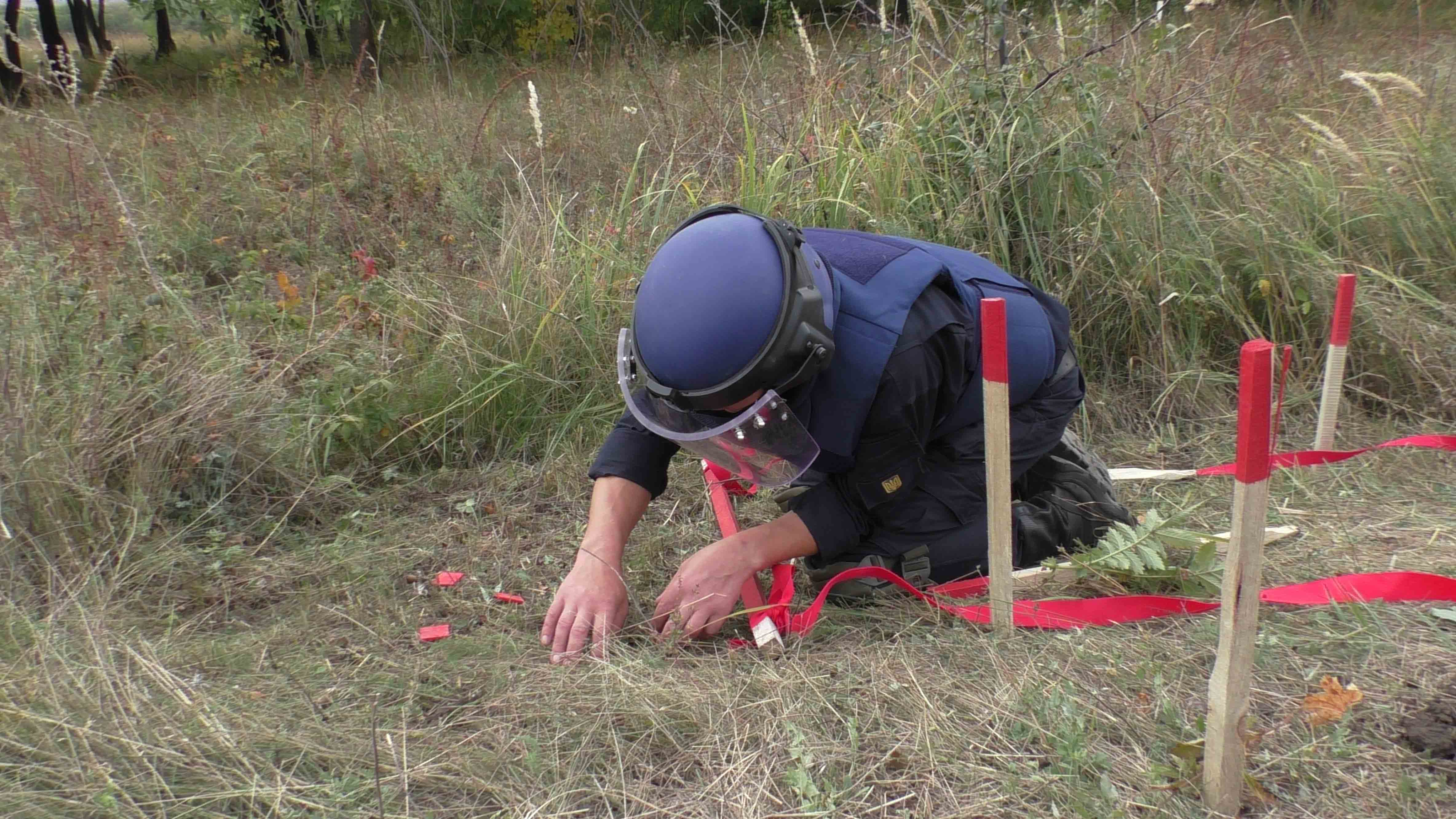 S1000024.jpg