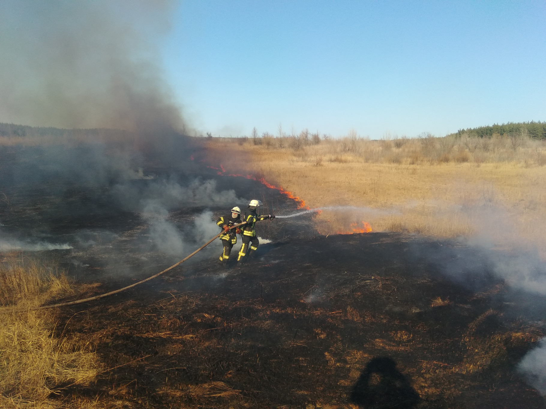 IMG_20200325_145324.jpg