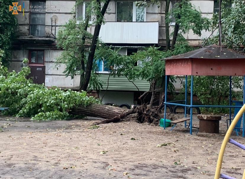 Не6.jpg
