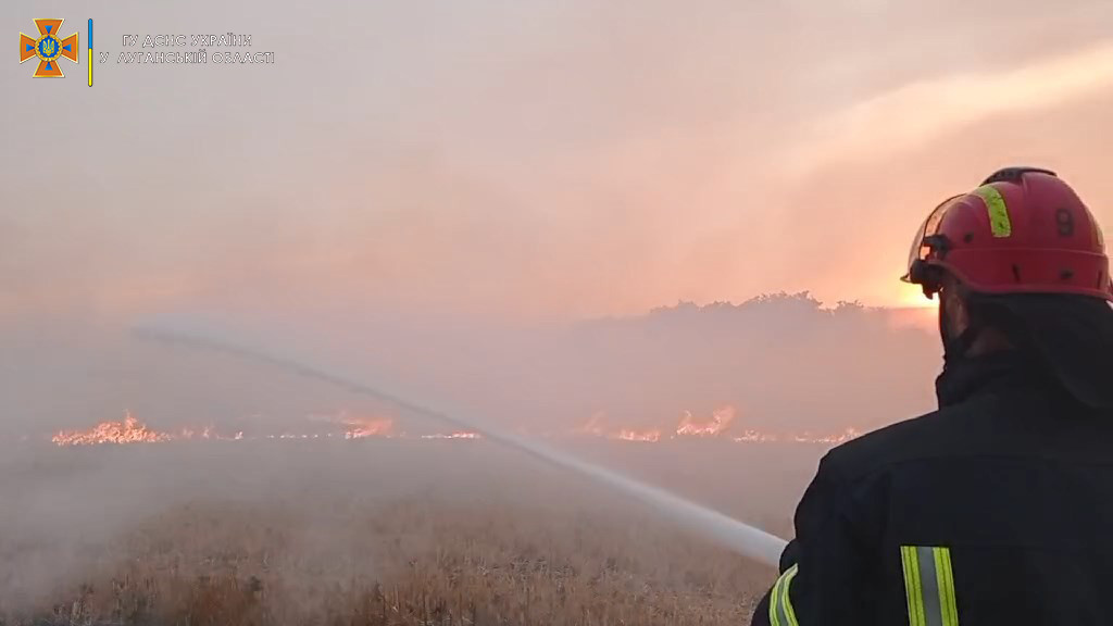 00.06.jpg