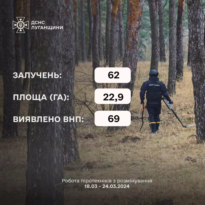 432962731-808416111319461-4811079767510208046-n.jpg