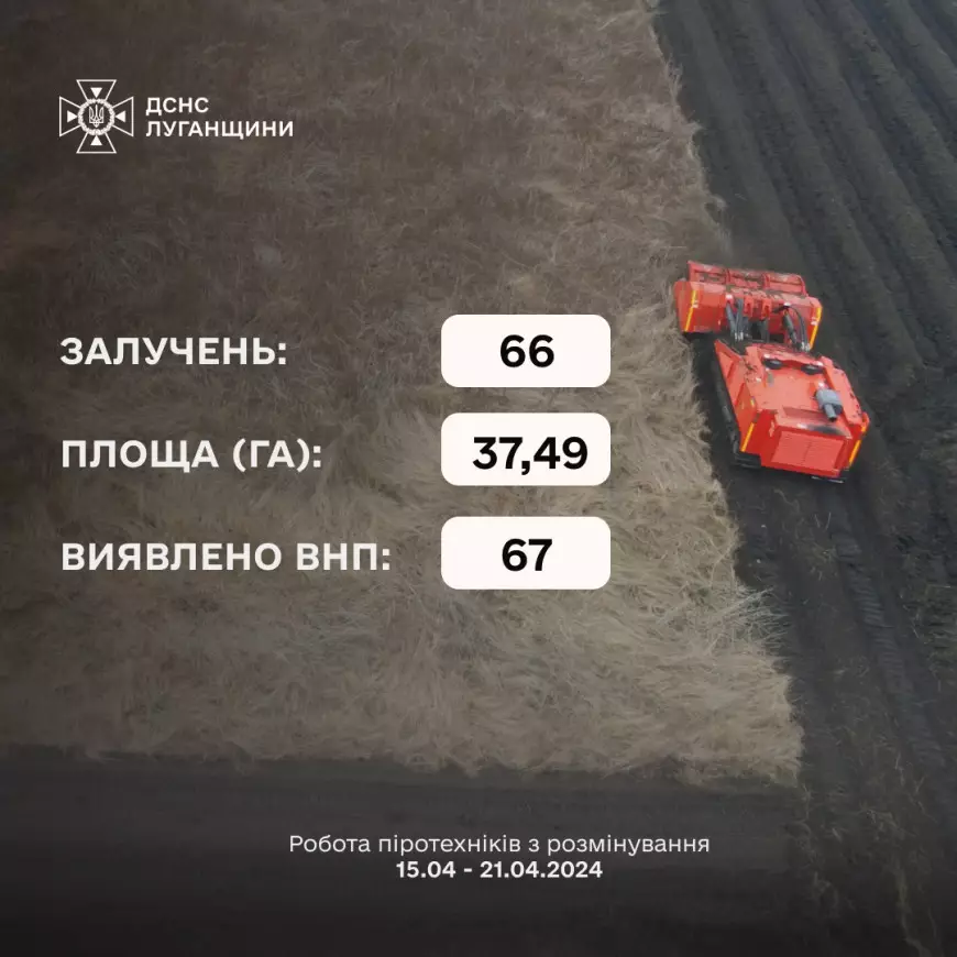 5ec7df4e-9d66-47b3-ad88-ec138f2b6de1.jpg