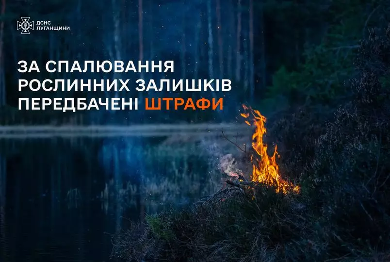 438119176-836720378489034-1738058490342586773-n.jpg
