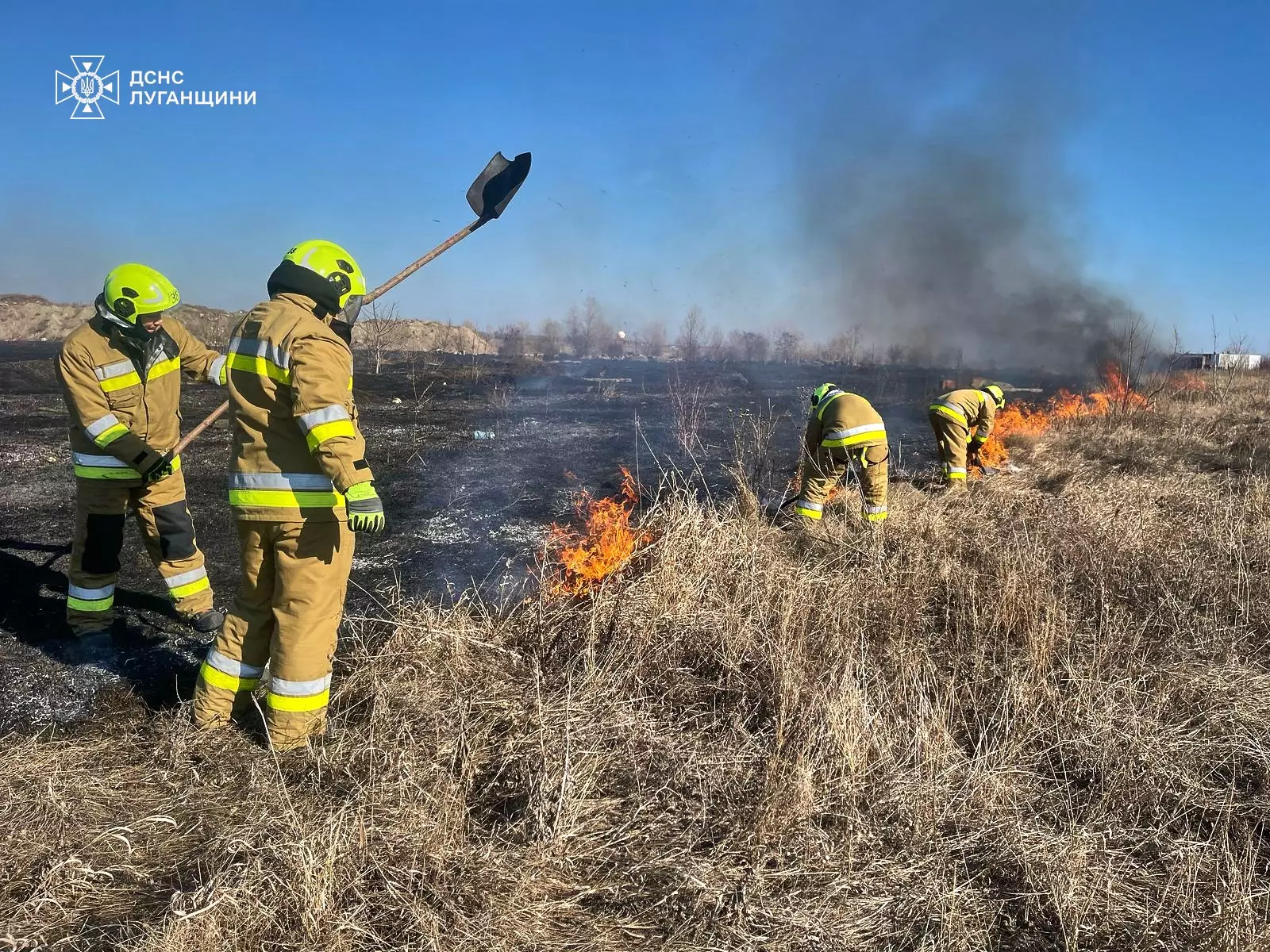 Ліквідація загоряння сухостою