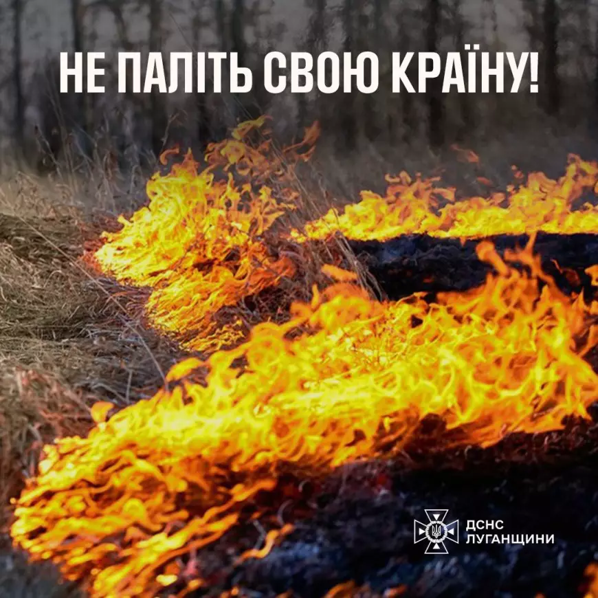 рятувальники вкотре закликають: Не поповнюйте статистику екологічних злочинів! 