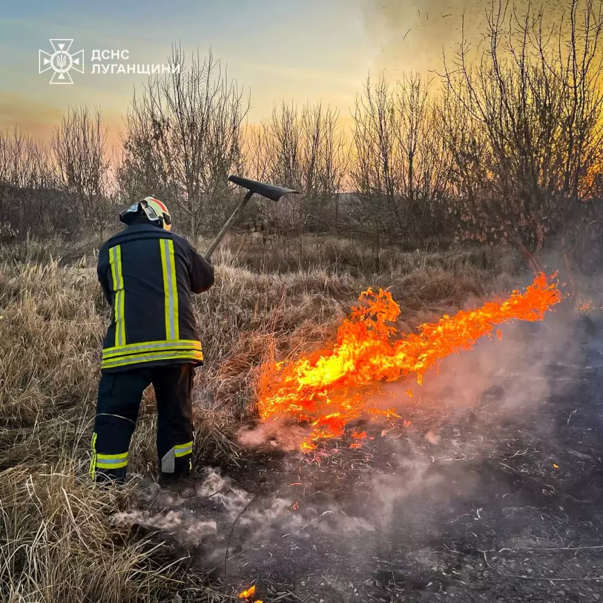 Ліквідація пожежі сухостою