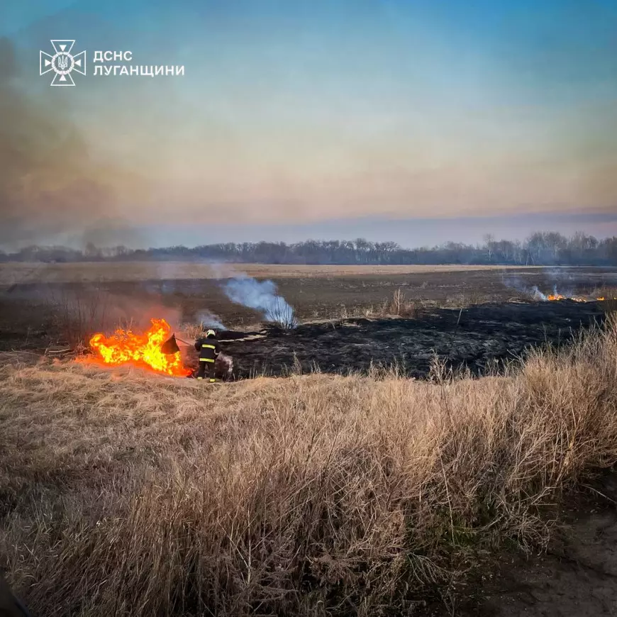 Рятувальники ліквідовують загоряння сухостою