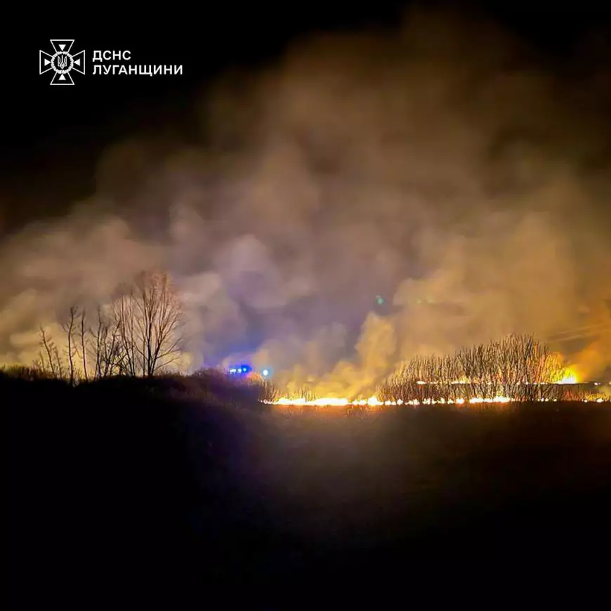 Ліквідація сухої трави