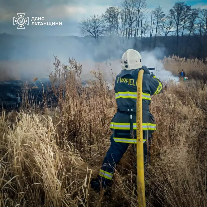 Ліквідація сухостою