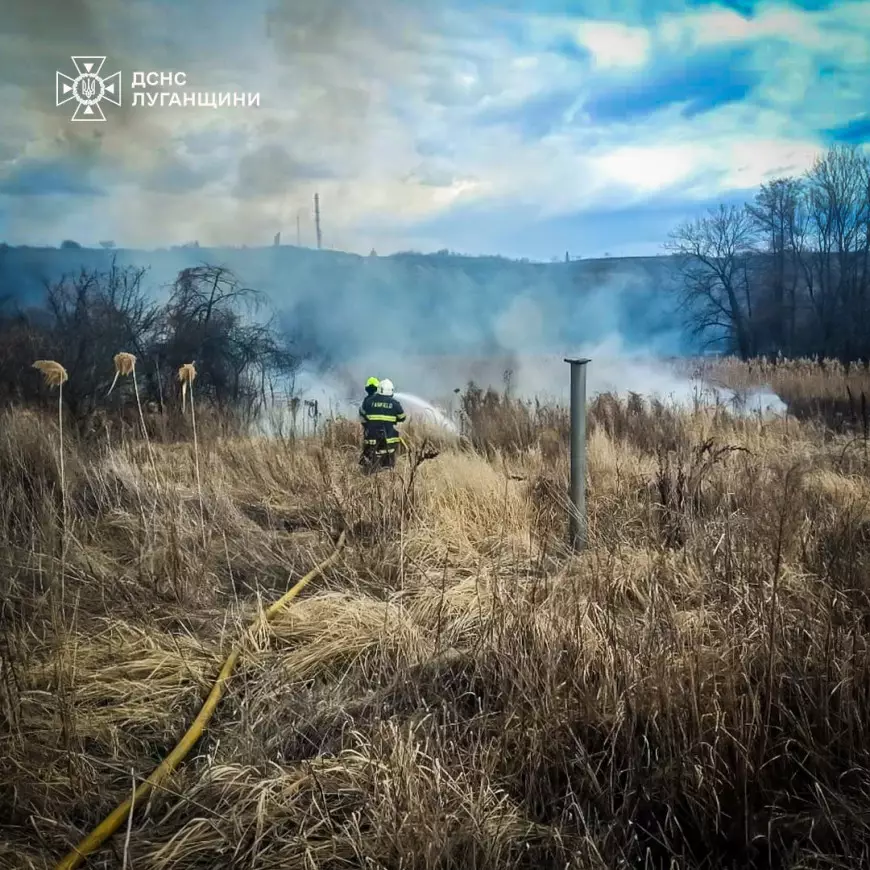Ліквідація очерету