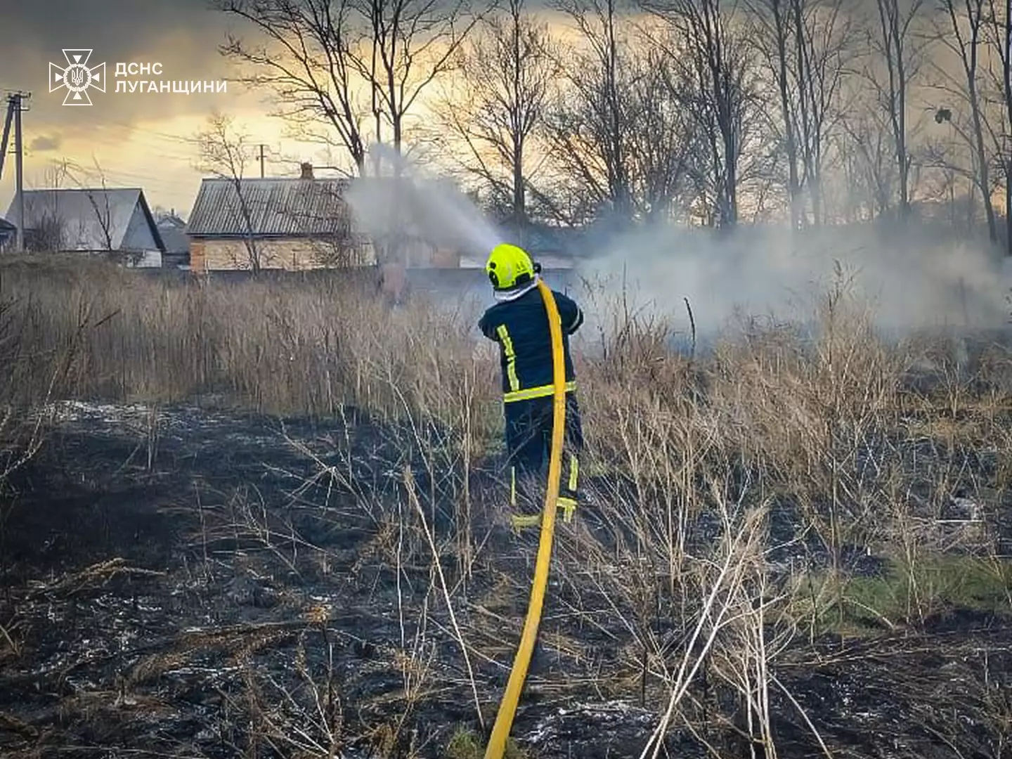 Ліквідація чагарників