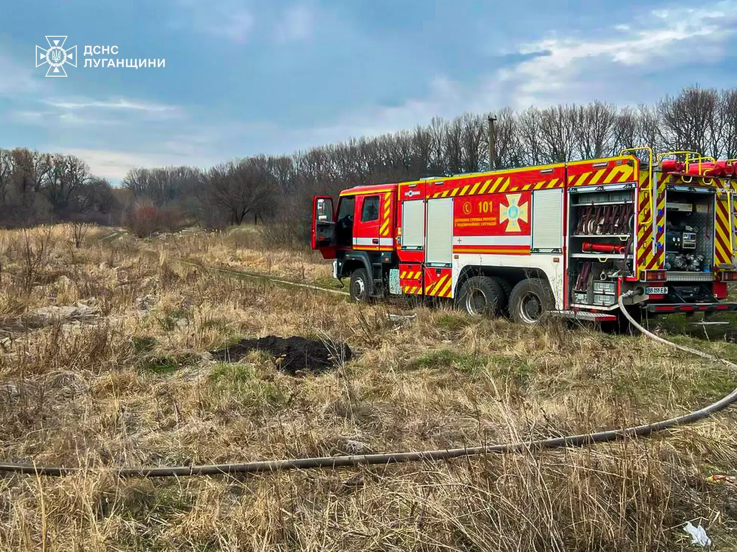 Ліквідація сухої трави