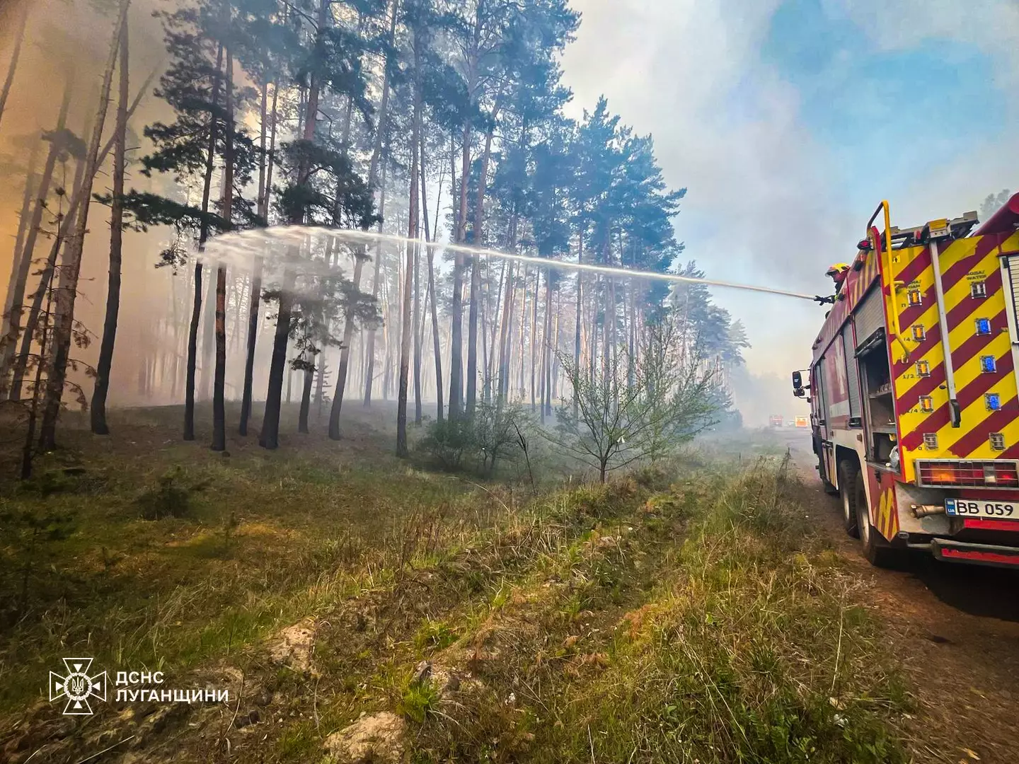 ліквідація пожежі у Балаклійському лісництві
