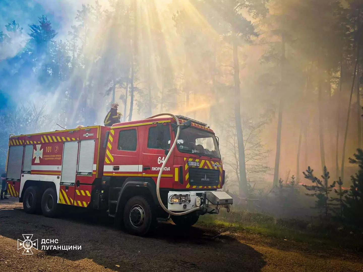 ліквідація пожежі у Балаклійському лісництві
