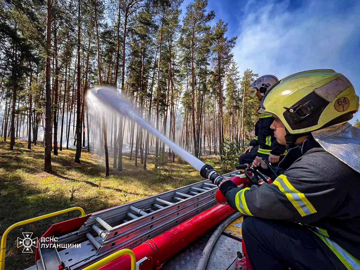 ліквідація пожежі у Балаклійському лісництві