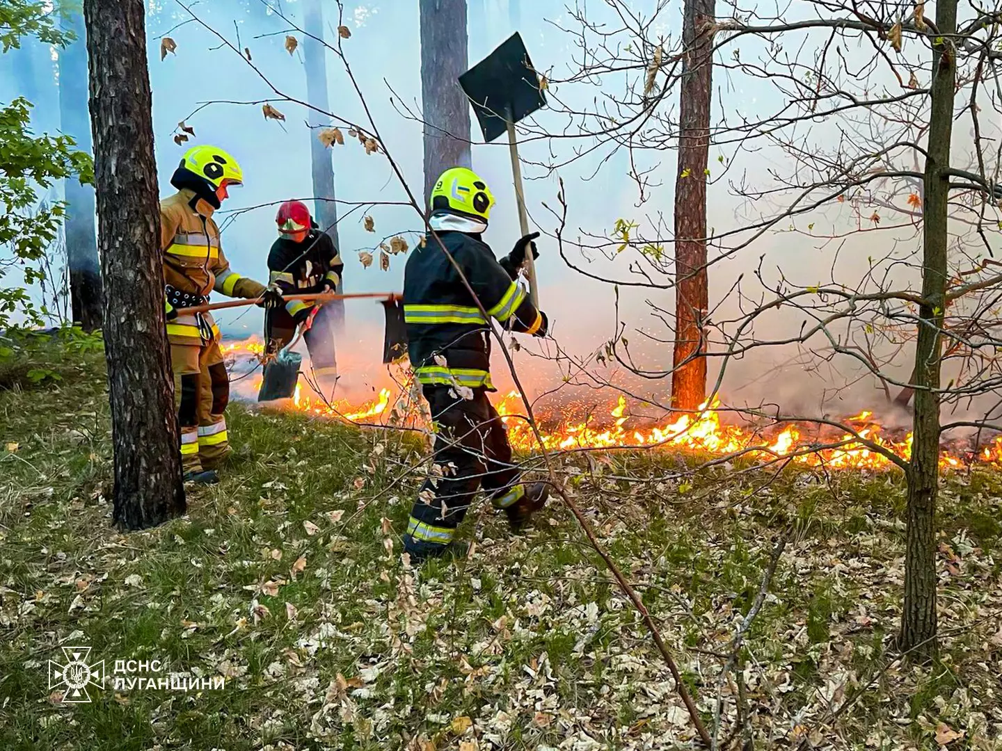 ліквідували пожежі на відкритих територіях