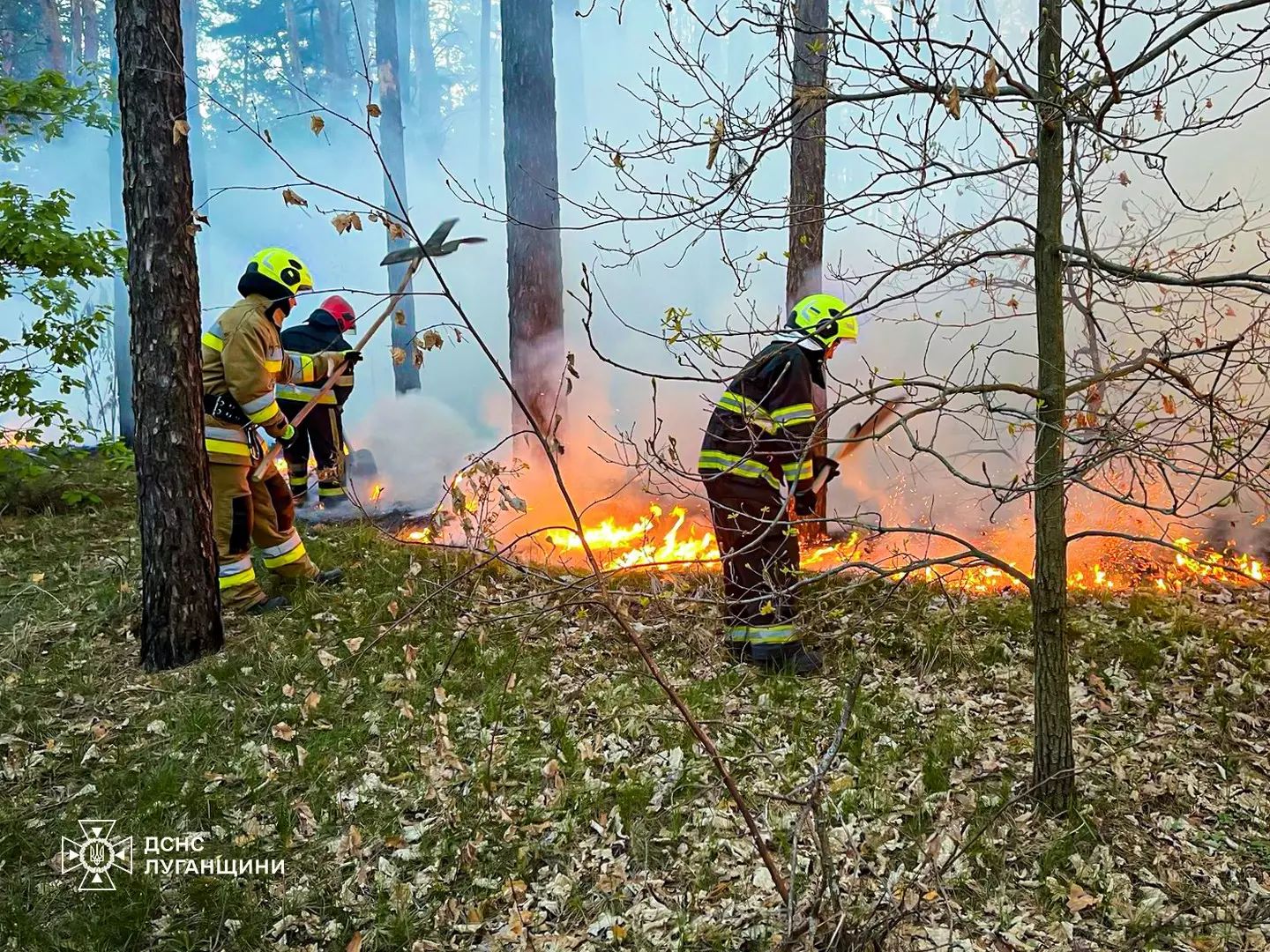 ліквідували пожежі на відкритих територіях