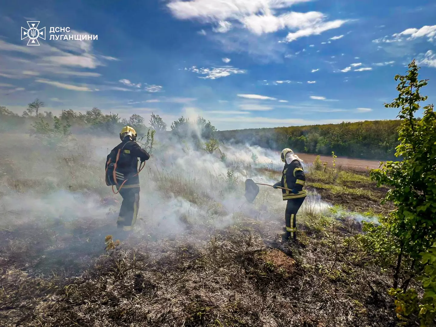 ліквідація пожежу на відкритій території