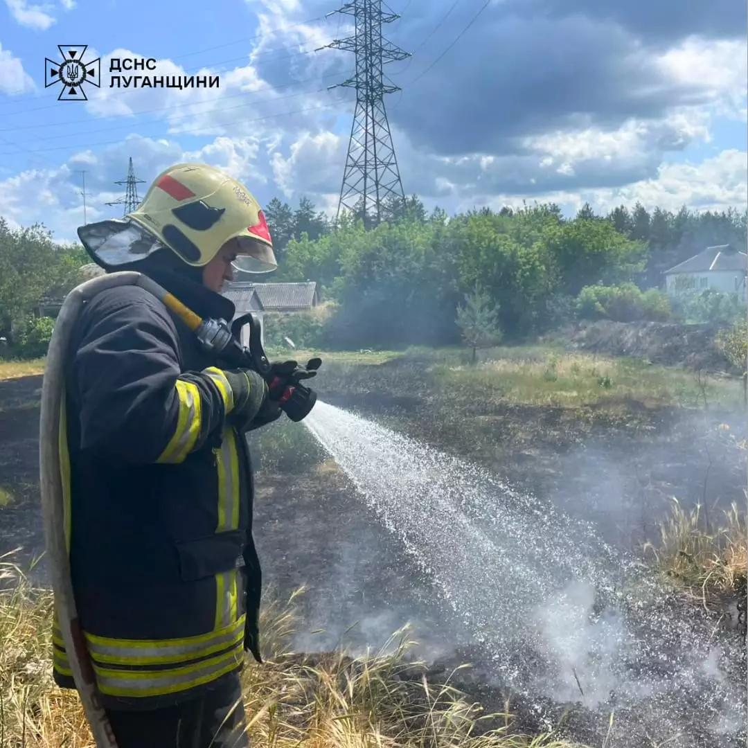 ліквідували пожежу сухостою