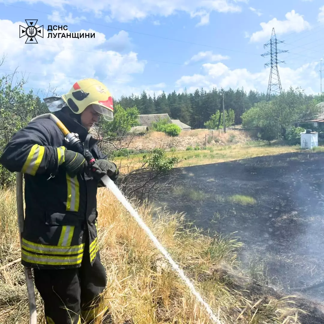 ліквідували пожежу сухостою