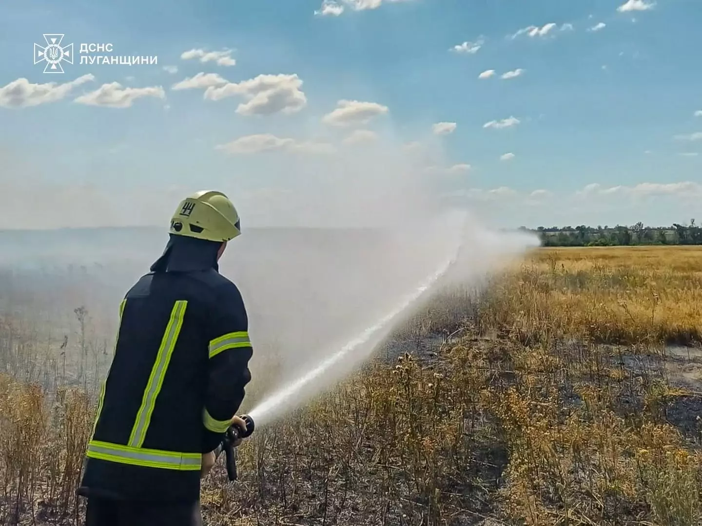 ліквідували пожежу на відкритій території