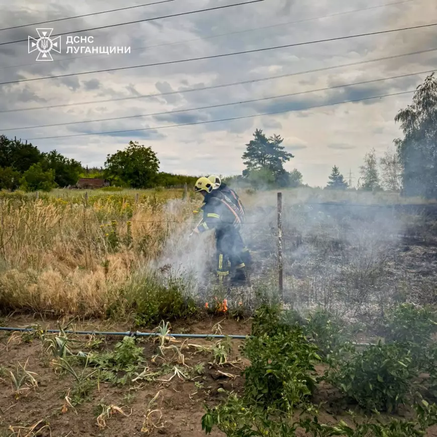 ліквідували пожежу на приватному подвір’ї