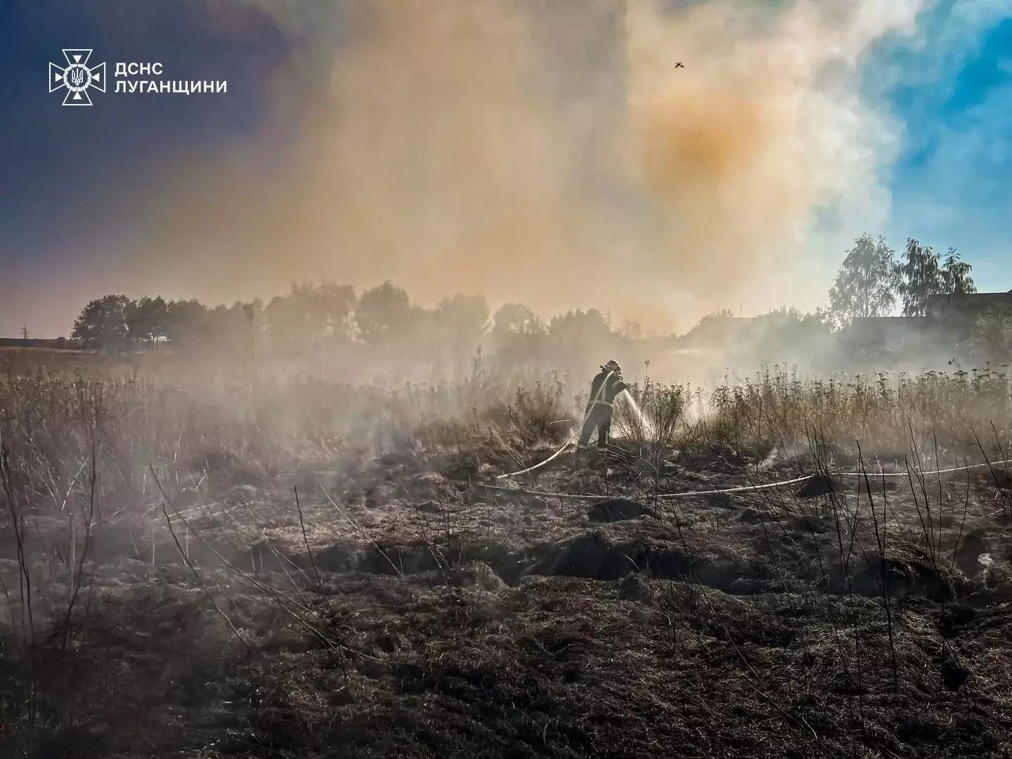 На Харківщині ліквідували пожежу на відкритій території