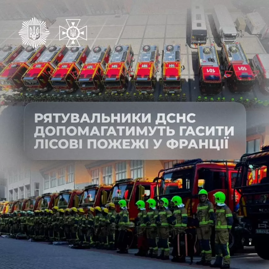 Міністр внутрішніх справ України: Сьогодні вранці українські рятувальники вирушили до Франції, аби допомогти у боротьбі з лісовими пожежами